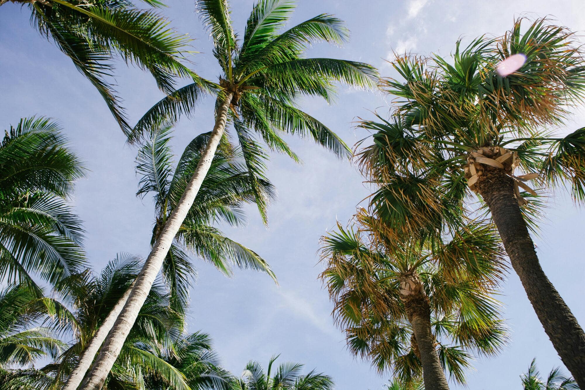 What Does Successful Airbnb Management Look like in Fort Lauderdale, Florida?